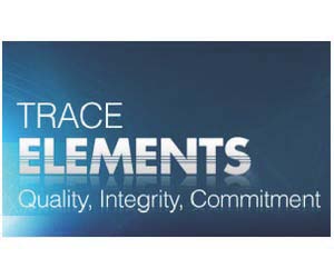 Untitled design-8 Untitled design-8