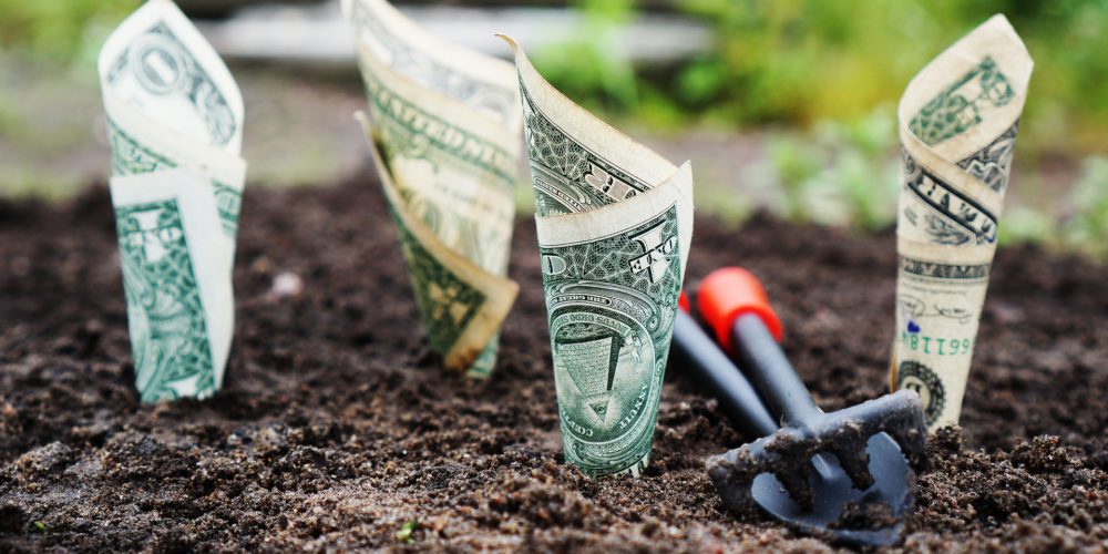Alternative Health Practitioner License Cost Legal Alternative Health 